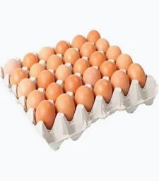 Telur Gred B
